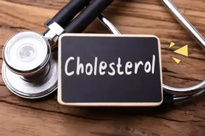 Mengenal Penyebab dan Cara Mengatasi Kolesterol