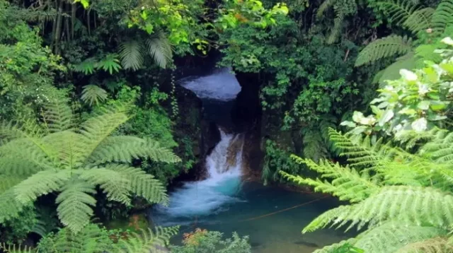 Curug Cibulao, Air Terjun Tersembunyi yang Menakjubkan di Bogor