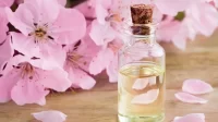 7 Khasiat Ekstrak Bunga Sakura untuk Kulit Cerah, Lembap, dan Awet Muda!